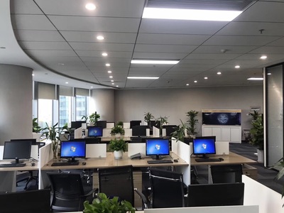 深耕區(qū)域，洞察市場(chǎng) 浙江杭鑫經(jīng)濟(jì)信息咨詢的市場(chǎng)調(diào)查實(shí)踐與價(jià)值